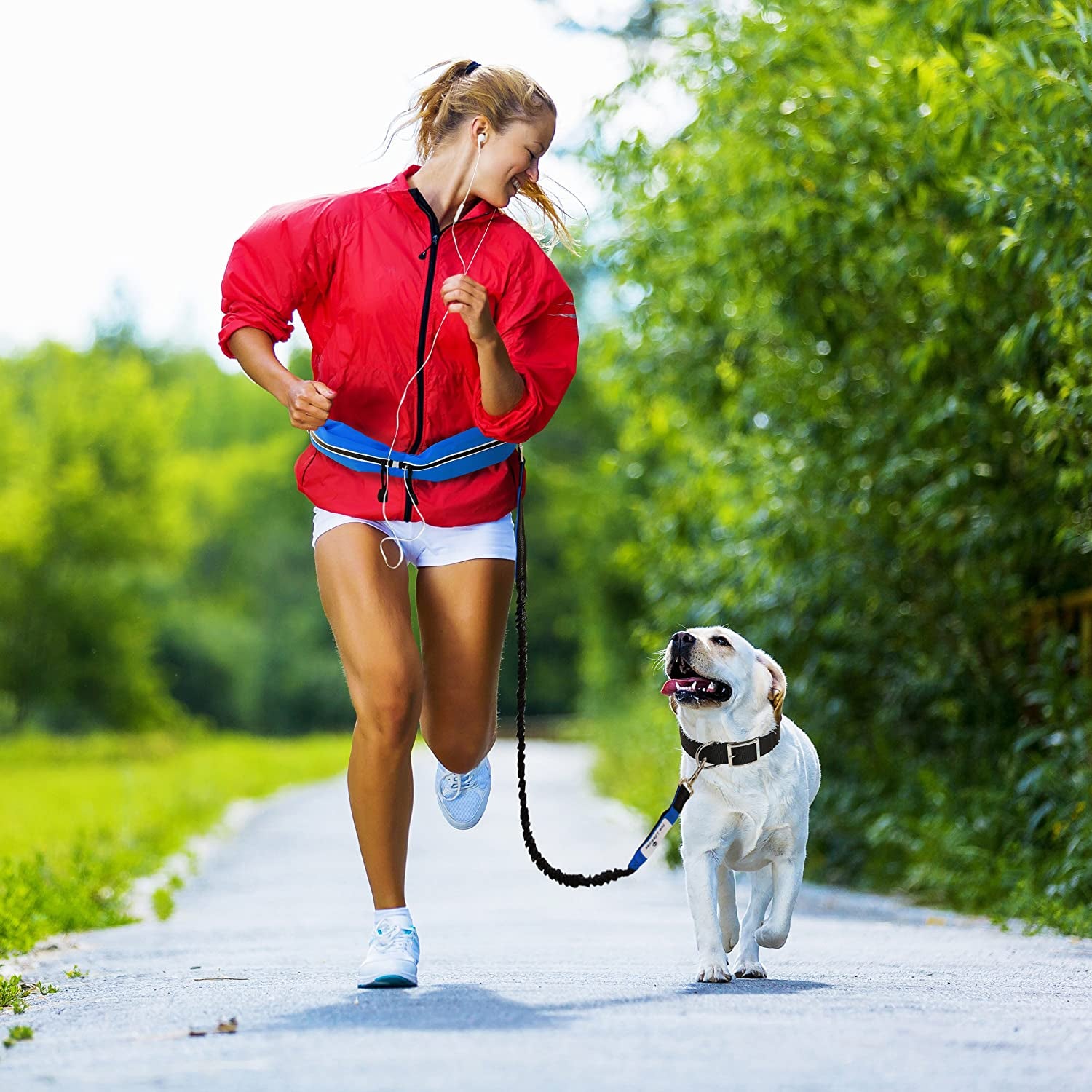 Retractable Hands Free Dog Leash W/Smartphone Pouch – Dual Handle Bungee Waist Leash for up to 150 Lbs Large Dogs